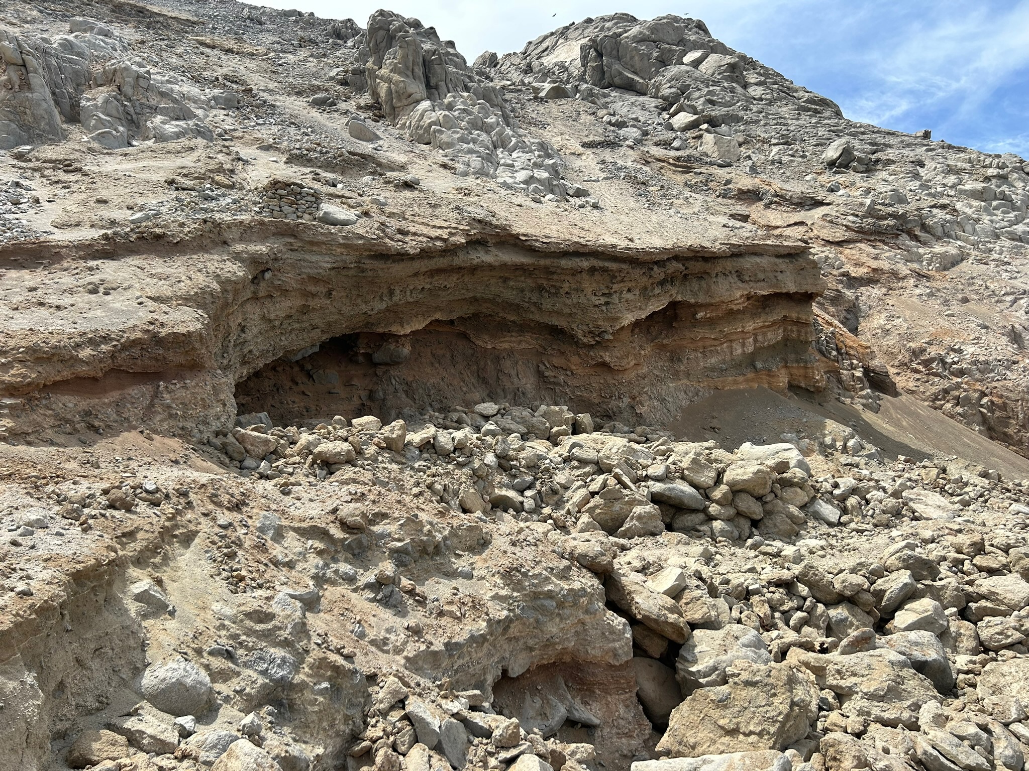 Fossils